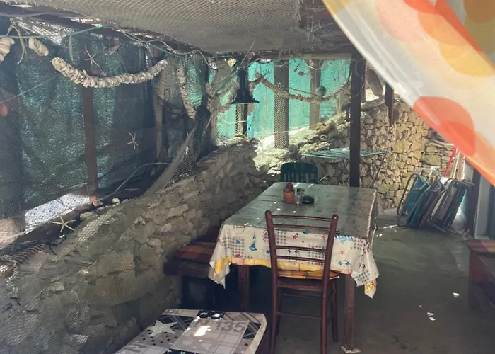 Stiniva * 비스